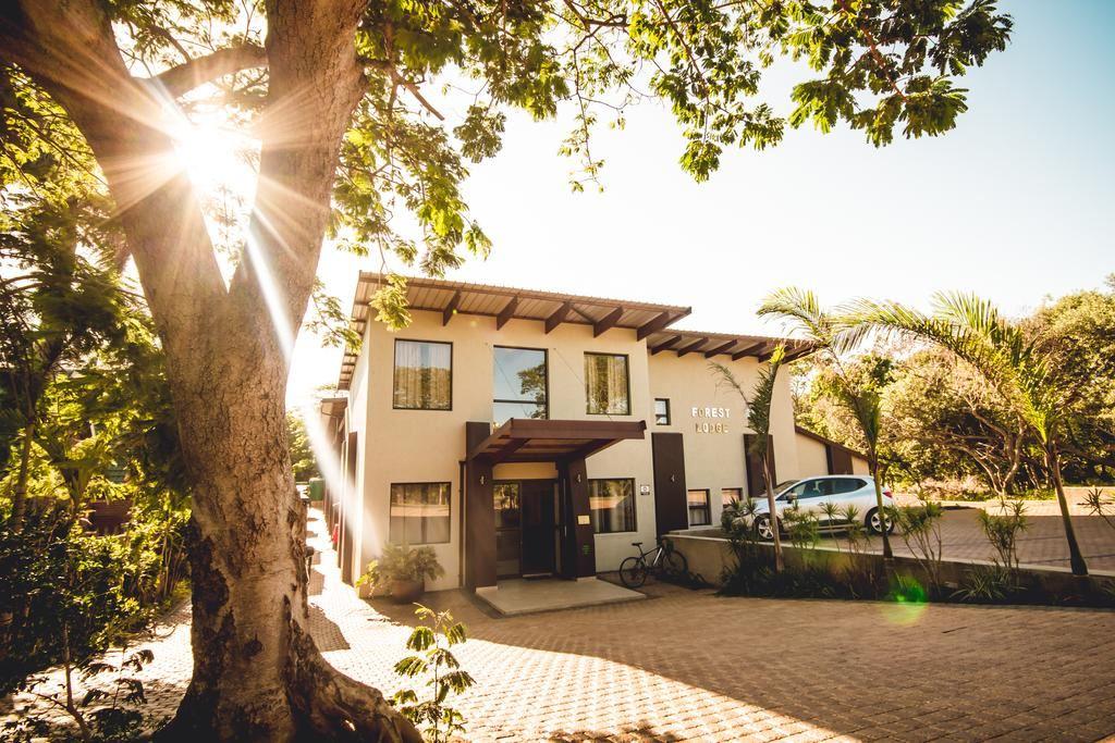 Forest Lodge | Lodges St Lucia
