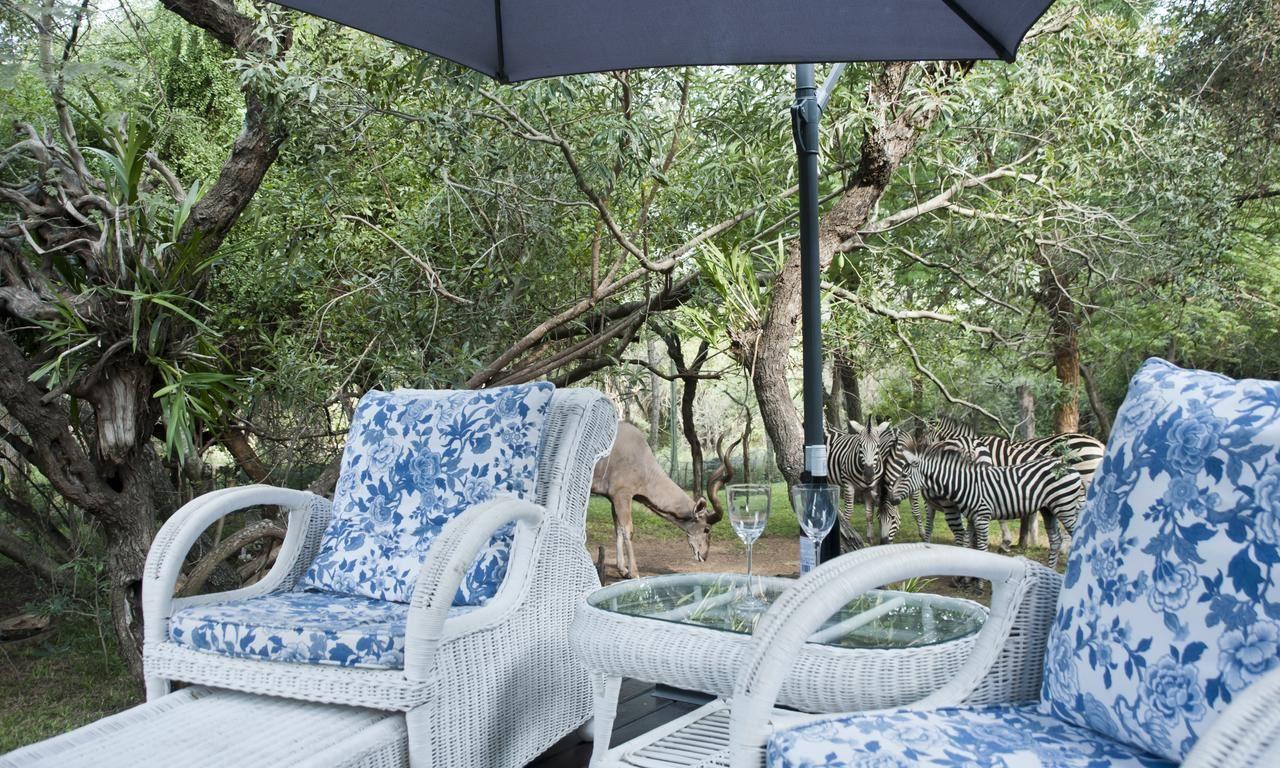 De Bruine Huis | Marloth Park Specials