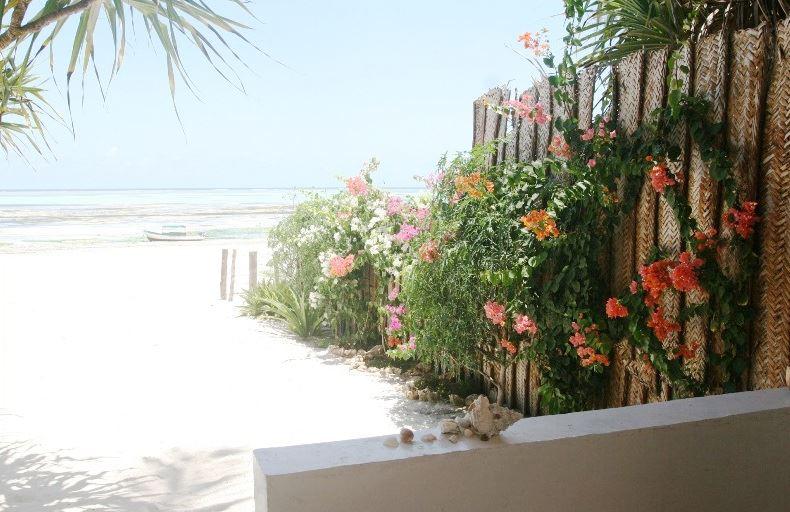 Simba Beach Zanzibar