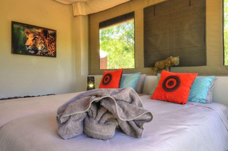 Cheetah Paw Eco Lodge