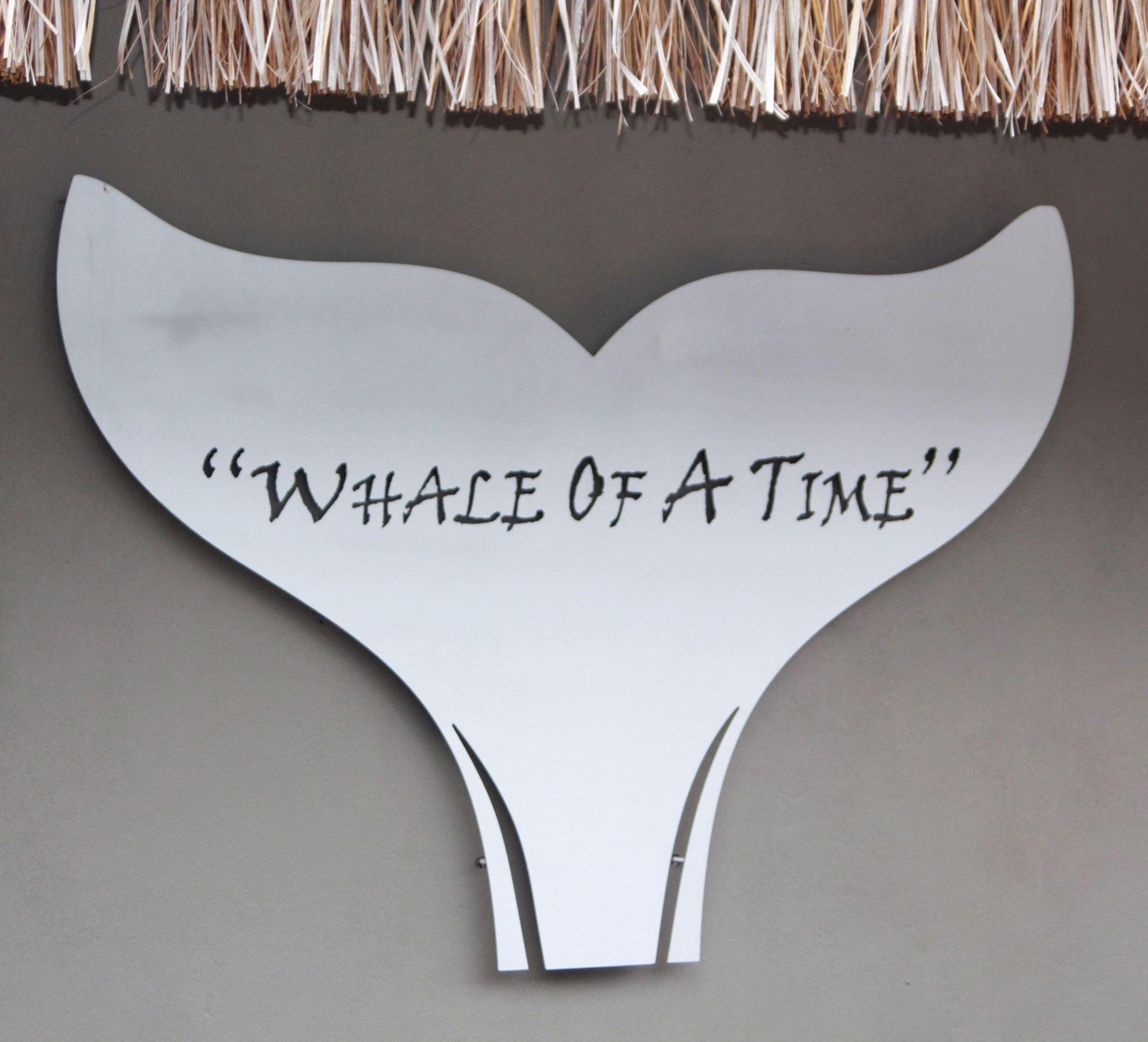 Whale Of A Time | Accommodation Coconut Bay
