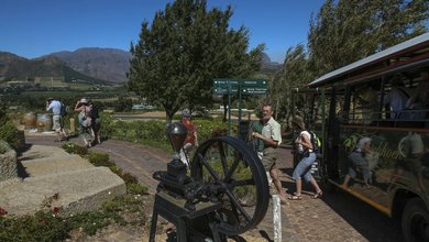 Things to do in Franschhoek
