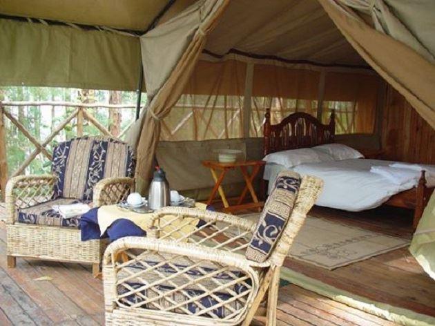 Tented camp