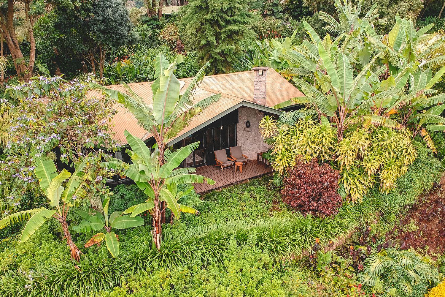 Gibb's Farm | Karatu Accommodation