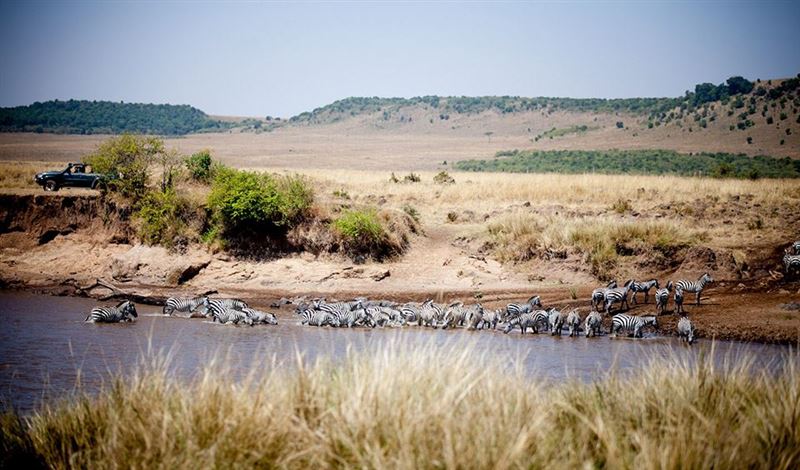 Game viewing