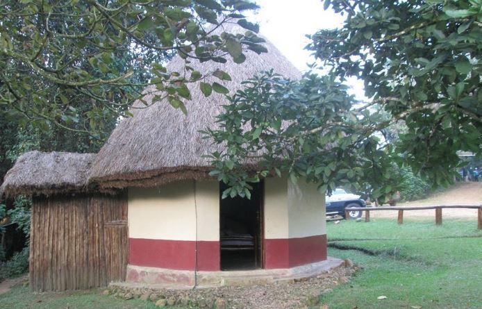 Buhoma Community Rest Camp | Bwindi Impenetrable National Park Accommodation