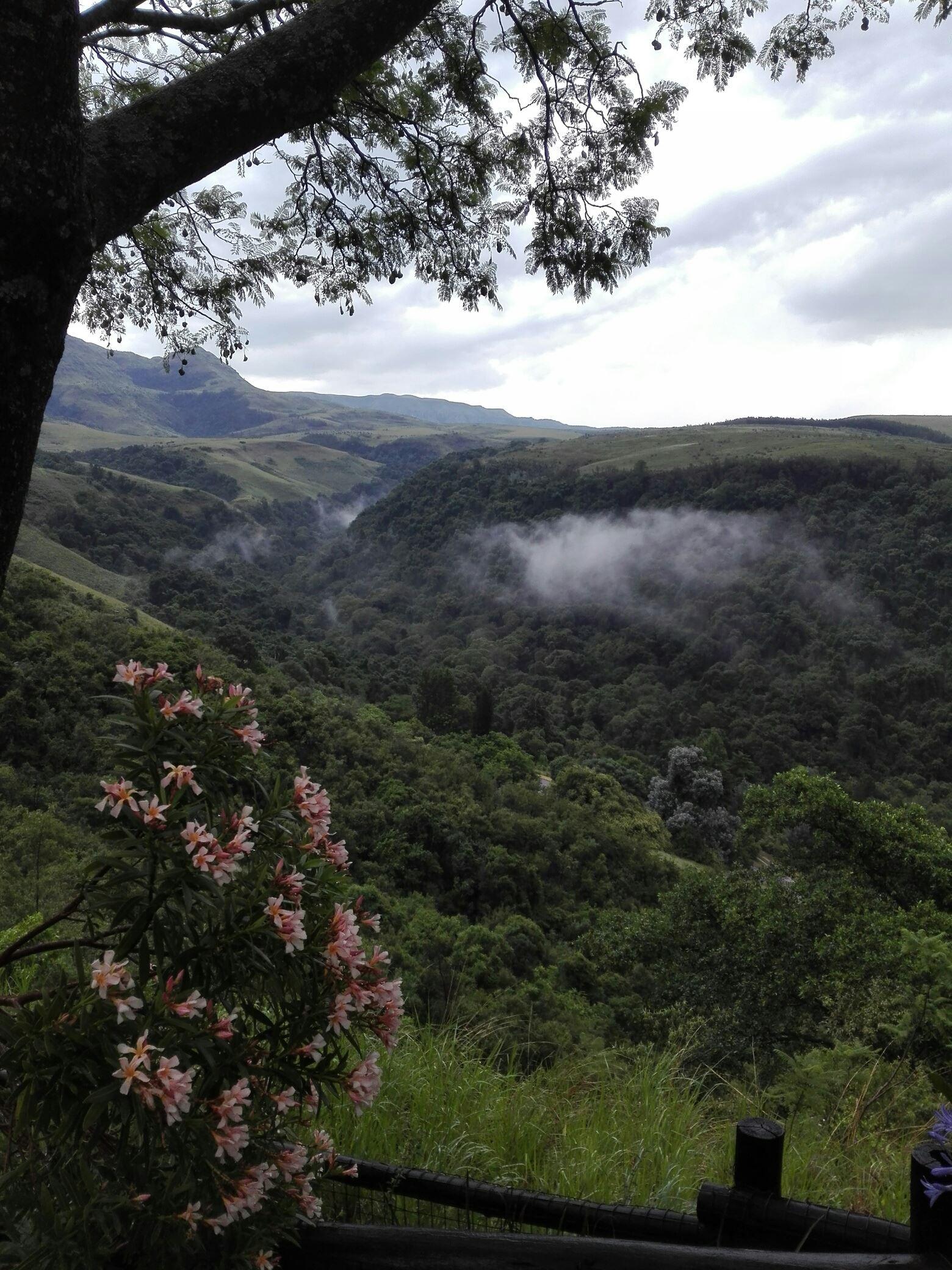 Misty Peaks | Bergview Accommodation