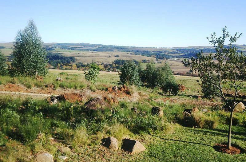 Woodridge Forest 11 Secure Your Holiday, SelfCatering, or Bed and