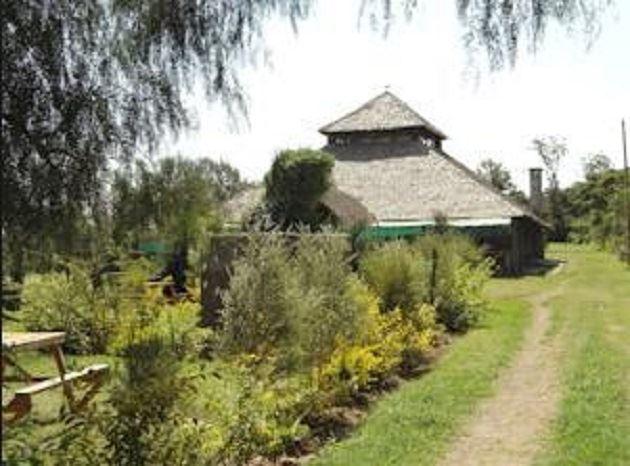 Cactus Eco Camp and Lodge | Hotels Lake Elementeita
