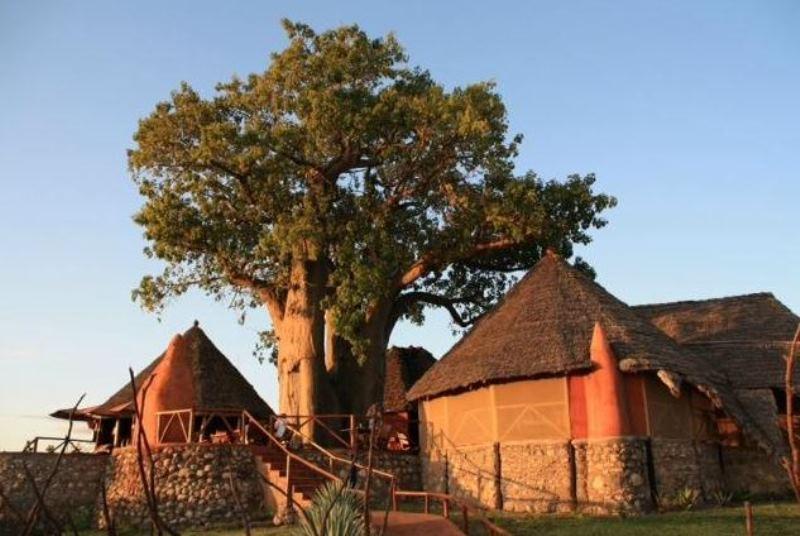 Rift Valley Photographic Lodge