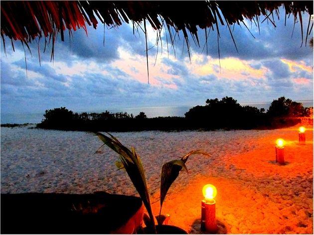 Da Loose Mongoose Beach Lodge | Jambiani Lodges