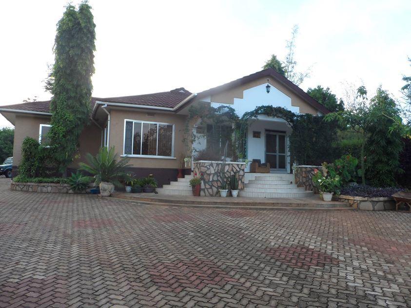 Ango Tree Hotel