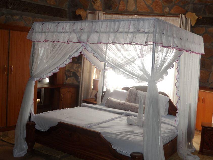 Ango Tree Hotel