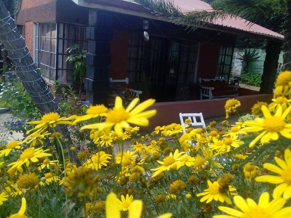 Signature House | Naivasha Self-catering