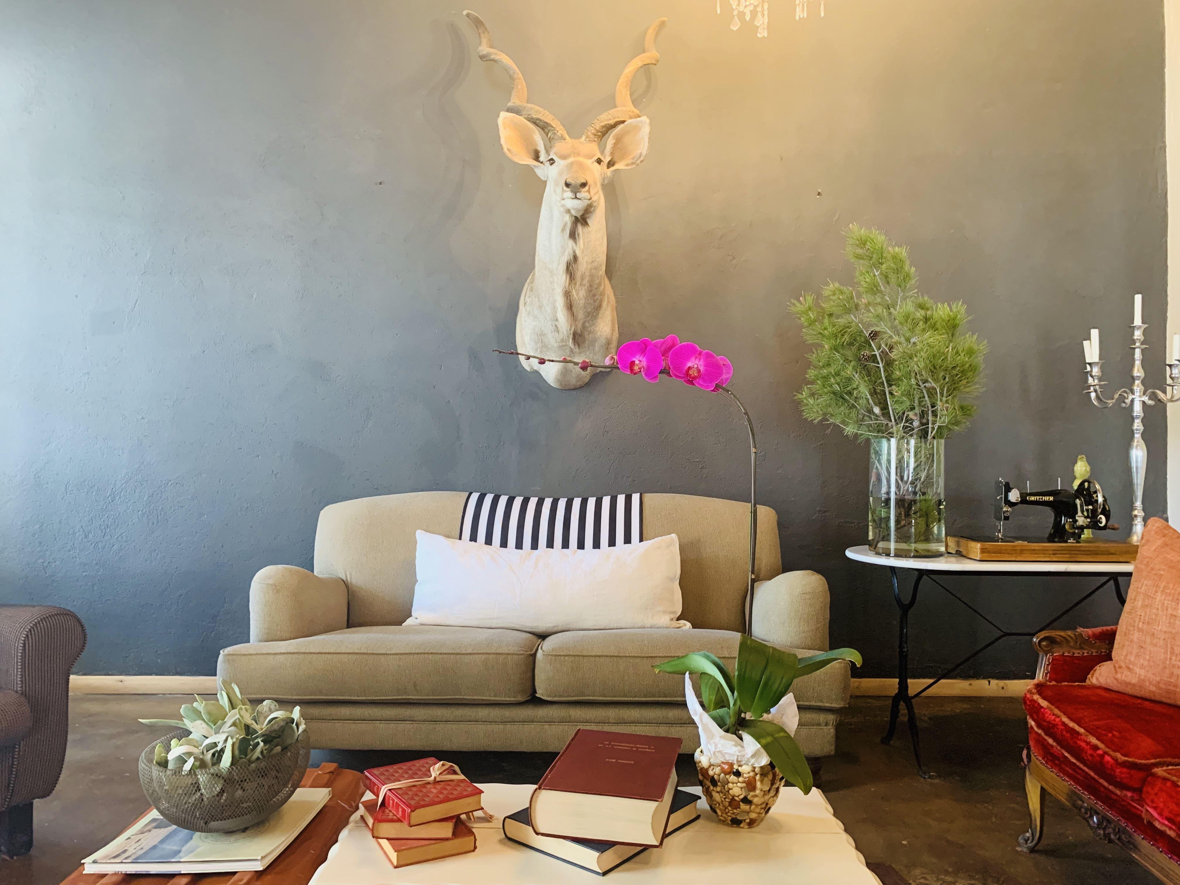 Boutique Guesthouse Hanover | Accommodation Hanover