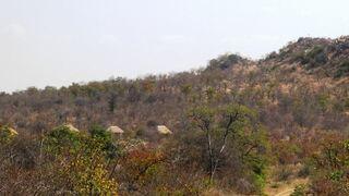 safari lodge in phalaborwa