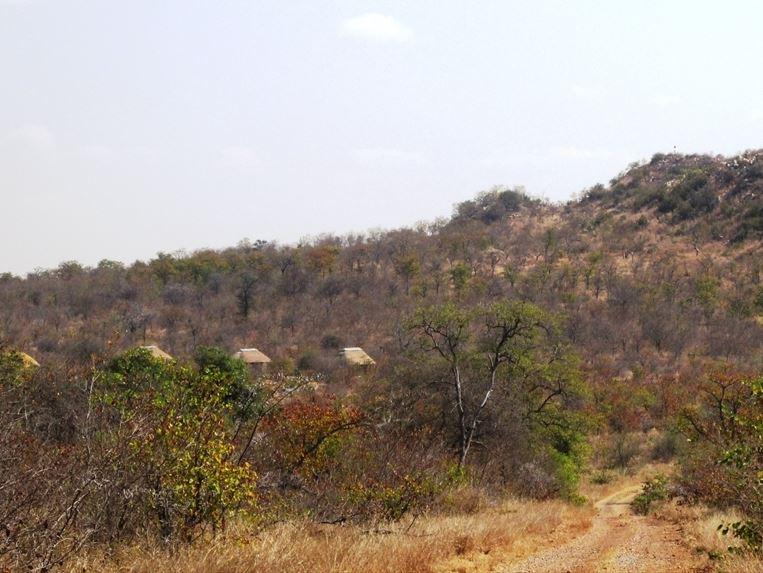Letaba Safari Lodge | Great Letaba Game Park Accommodation