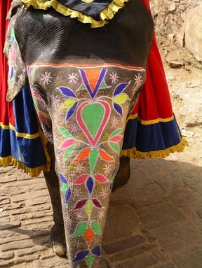 Painted elephant trunk