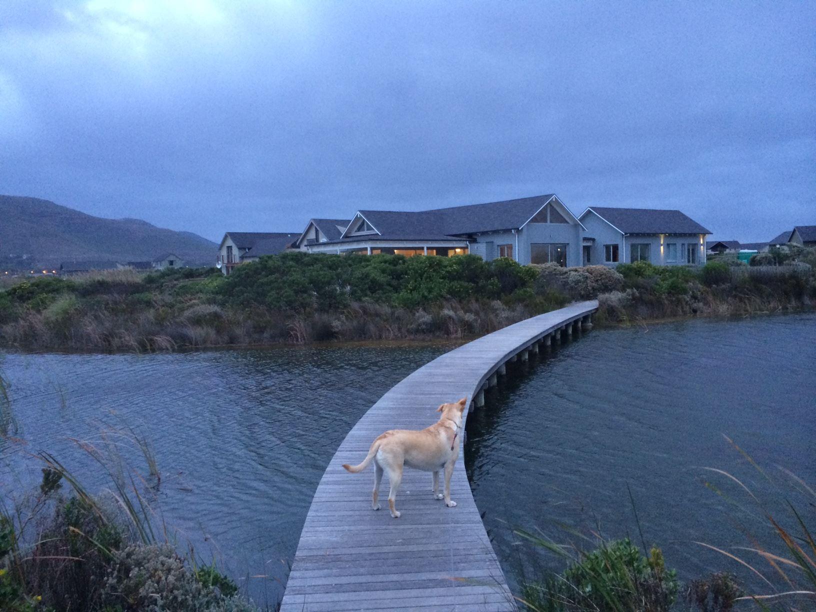 Lake House