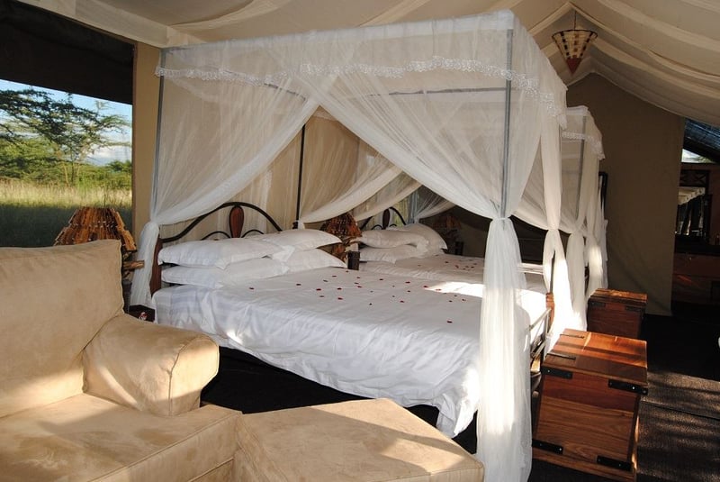 Serengeti Tanzania Bush Camp | Reserve Your Hotel, Self-Catering, or