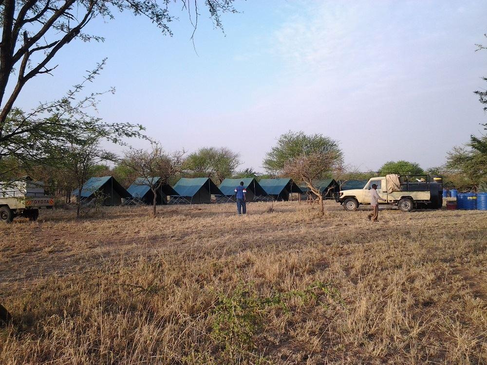 Serengeti Tanzania Bush Camp | Serengeti National Park Accommodation