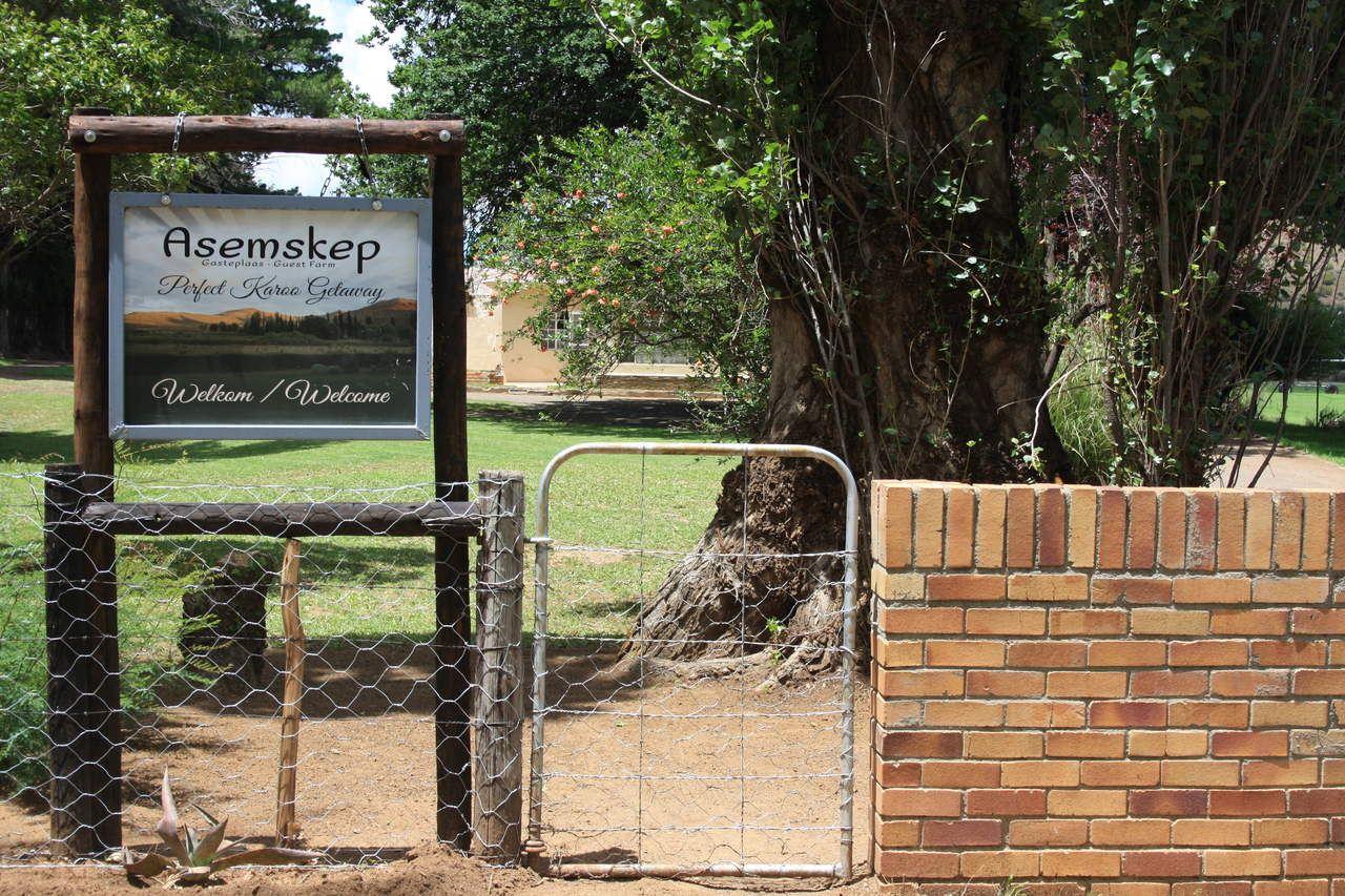 Asemskep Guest Farm / Gastehuis | Accommodation Middelburg (Eastern Cape)