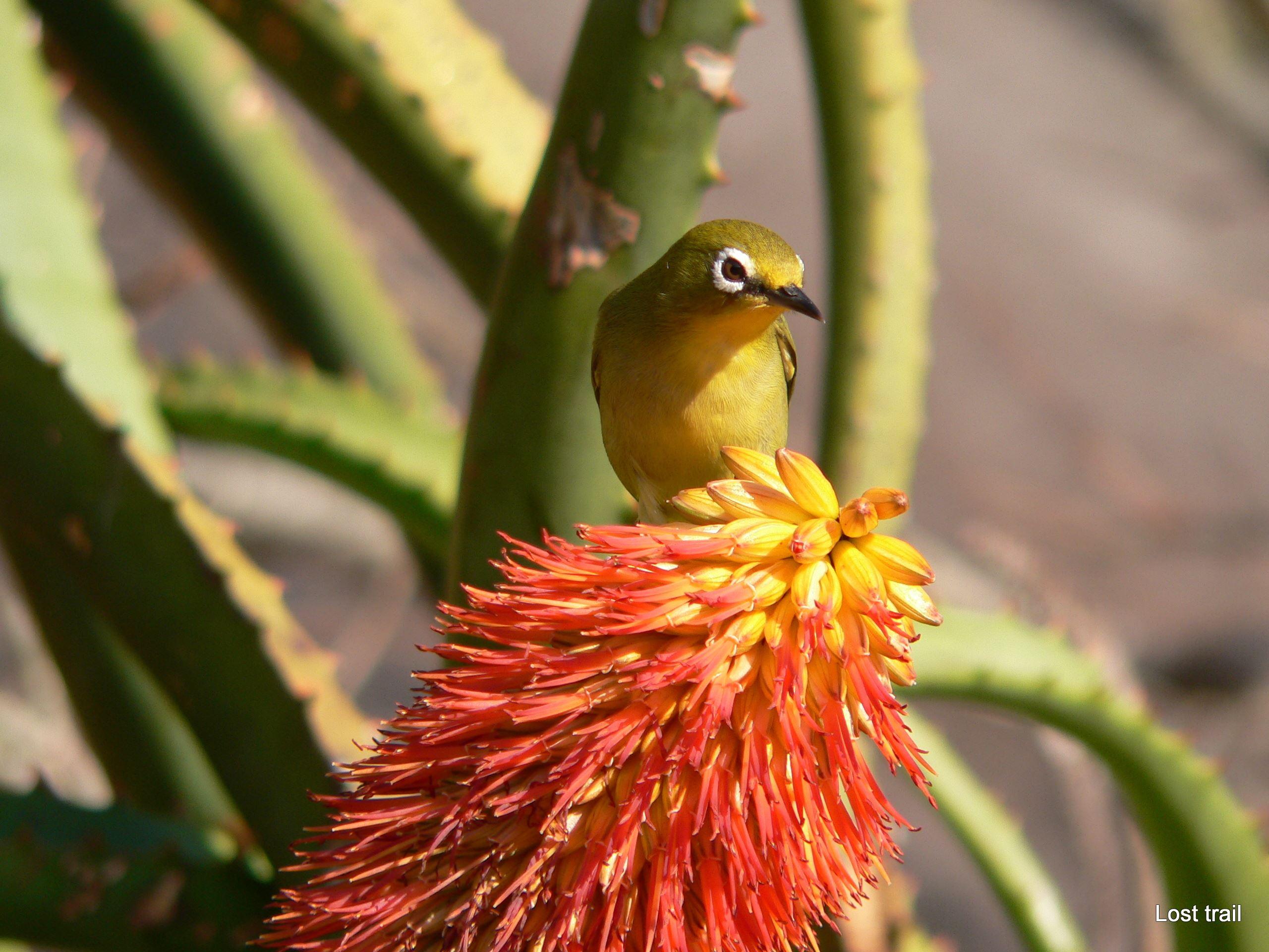 Lost Trail Bed & Breakfast | Nelspruit Accommodation