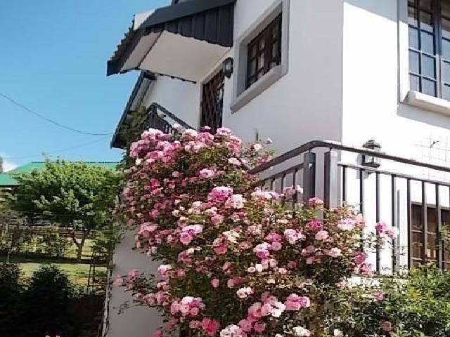 Rose Cottage | Haenertsburg Accommodation
