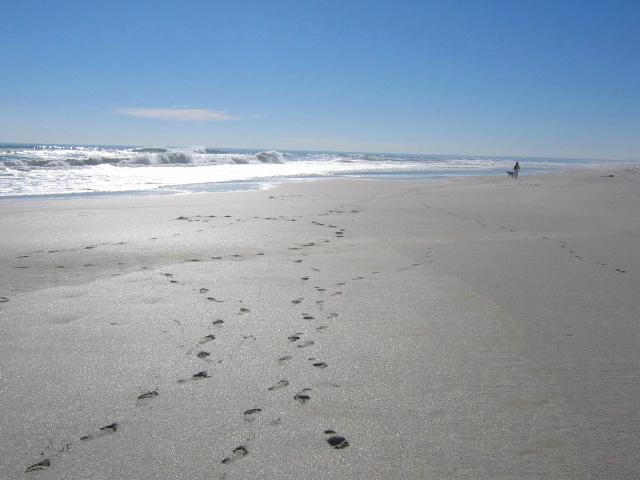 Van Riebeeckstrand Self-catering