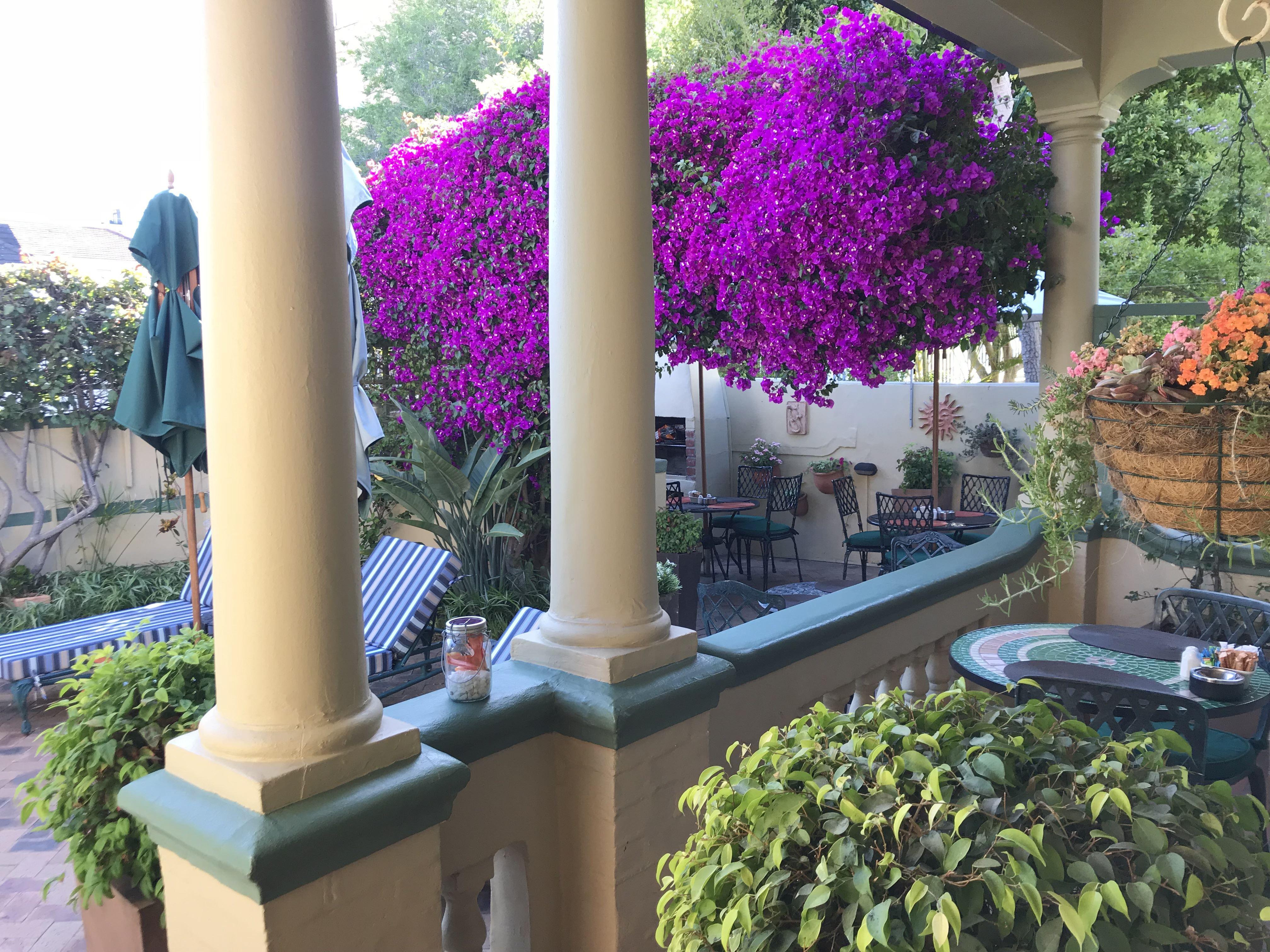 Olaf's Guesthouse | Sea Point Accommodation