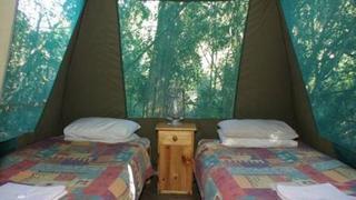 Narina Rustic Bush Camp Addo Elephant National Park SANParks | Self-catering Addo Elephant National Park