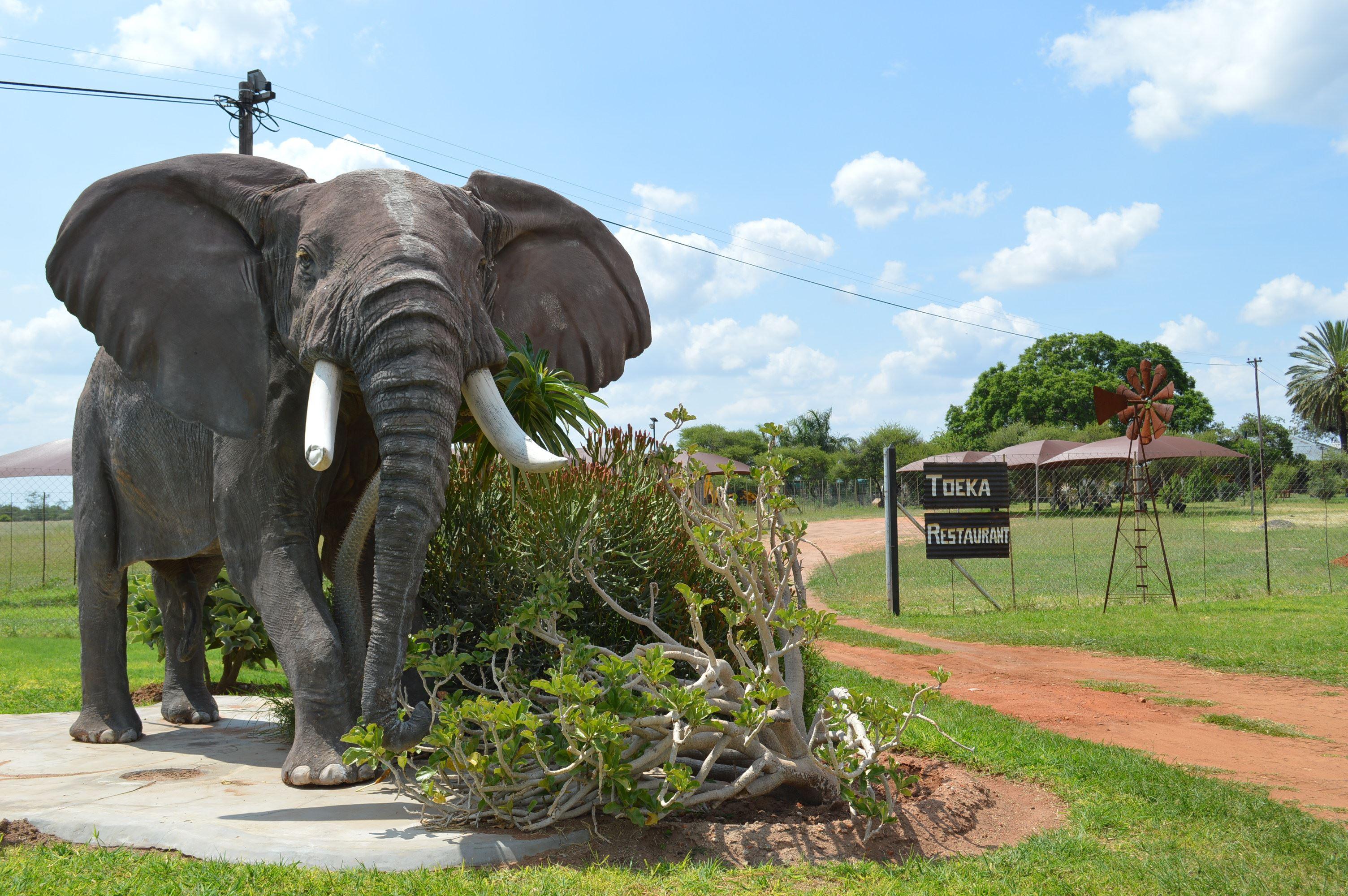 Toeka Accommodation, Restaurant and Predator Park | Self-catering Alldays
