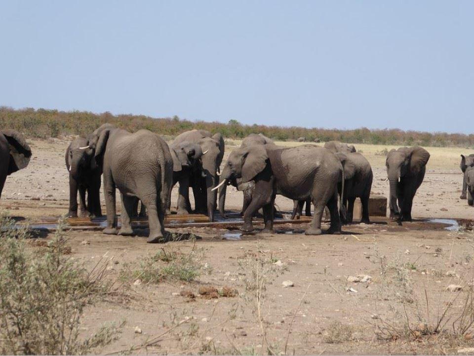 Shingwedzi Rest Camp Kruger National Park SANParks