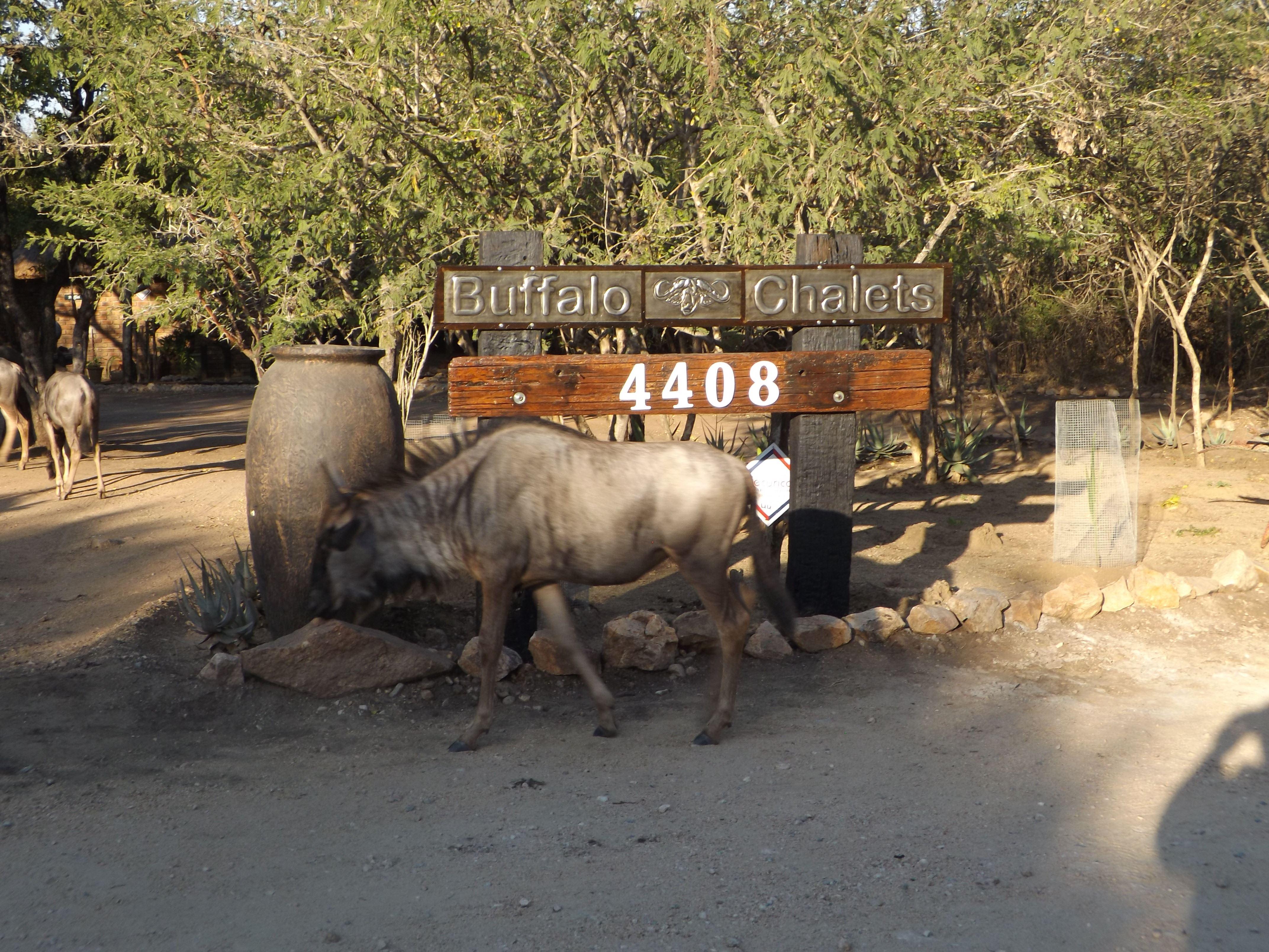 Buffalo Chalets Marloth Park