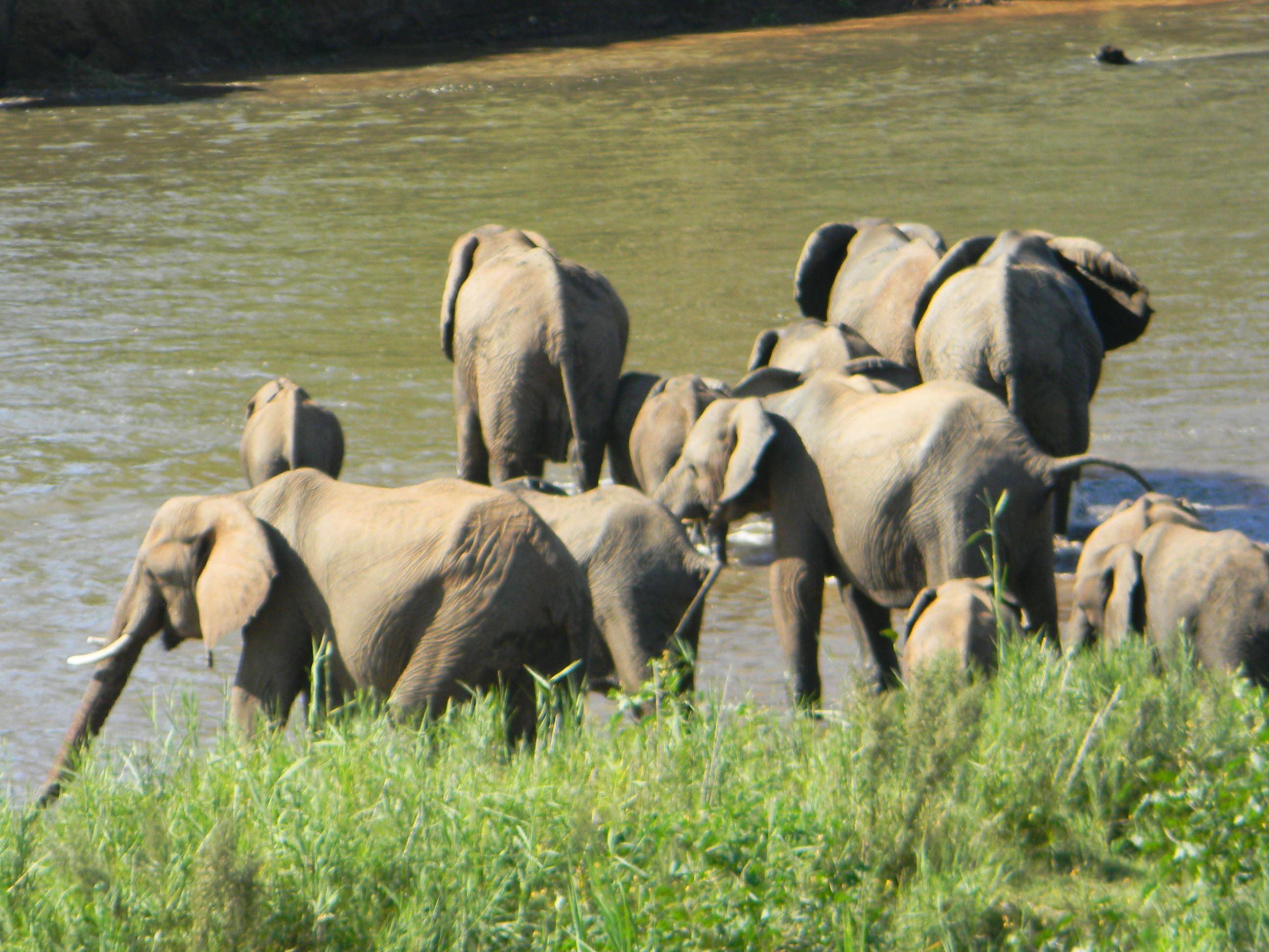 Kruger View Chalets | Accommodation Malelane