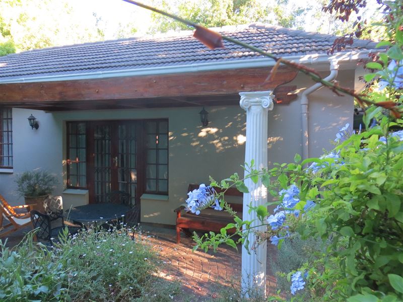 Patio and garden