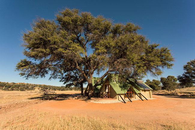 Kalahari Game Lodge | Accommodation Koes