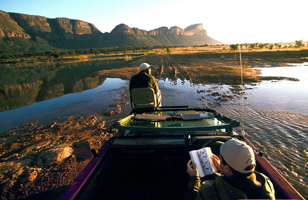 Entabeni Safari Conservancy | Resorts Entabeni Private Game Reserve