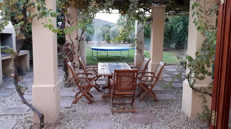 Entertainment under the vines