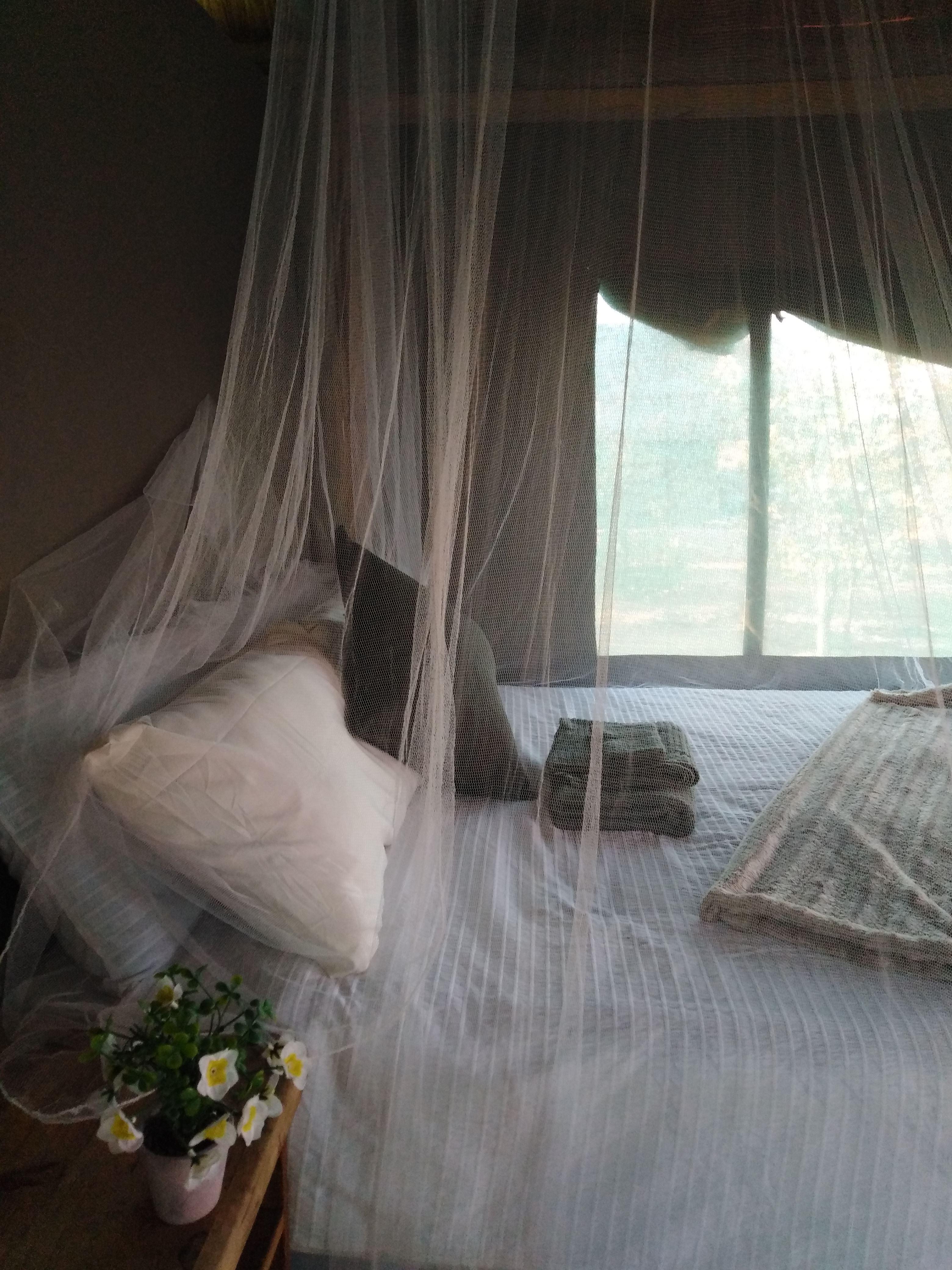 Buffalo Tented Lodge | Accommodation Phalaborwa