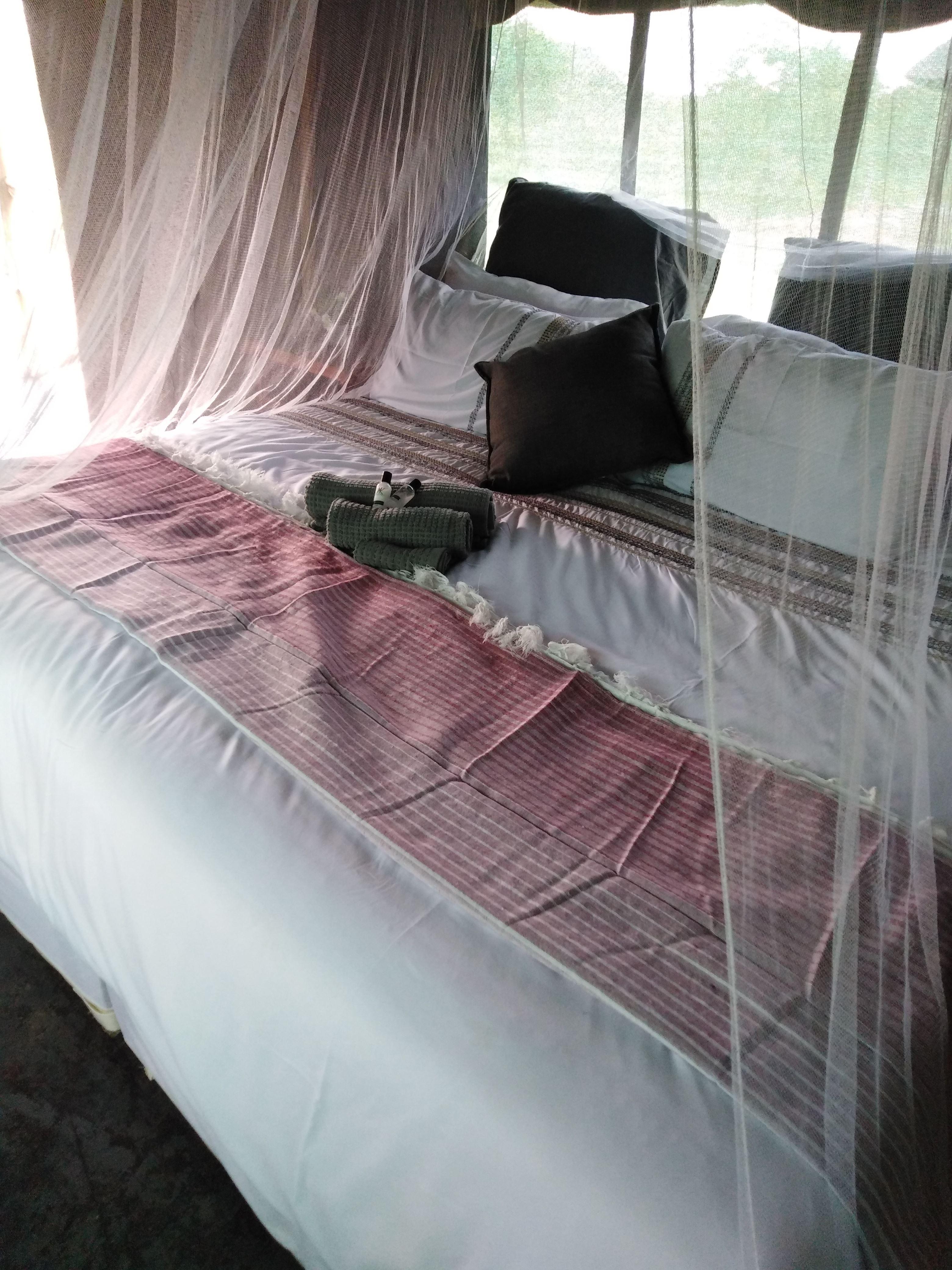 Buffalo Tented Lodge | Phalaborwa Specials