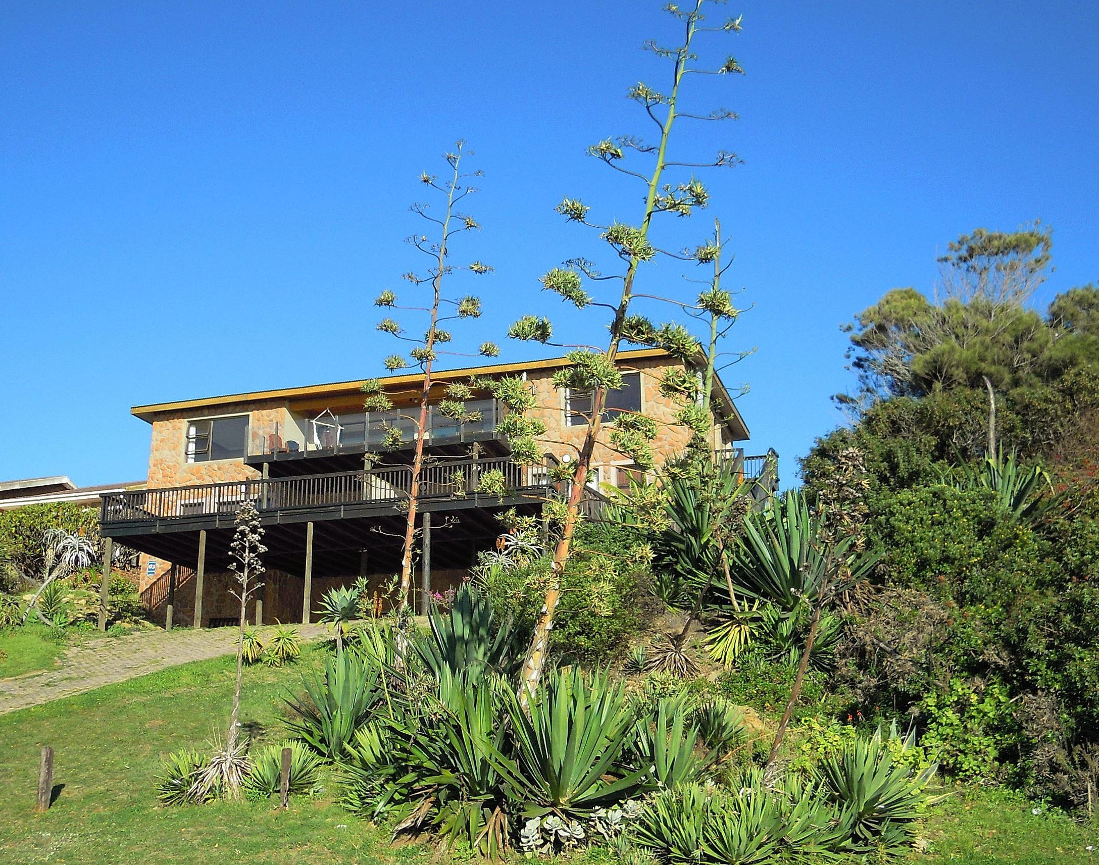 Starfish Surf House | Jeffreys Bay Accommodation