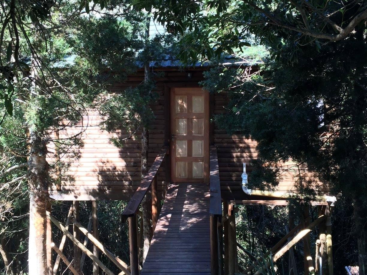Magoebaskloof Adventures | Self-catering Magoebaskloof