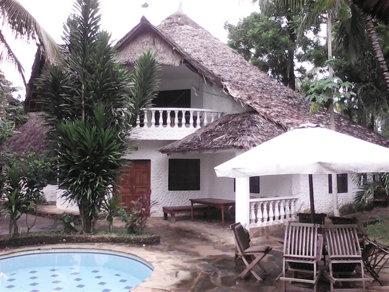Backyard area