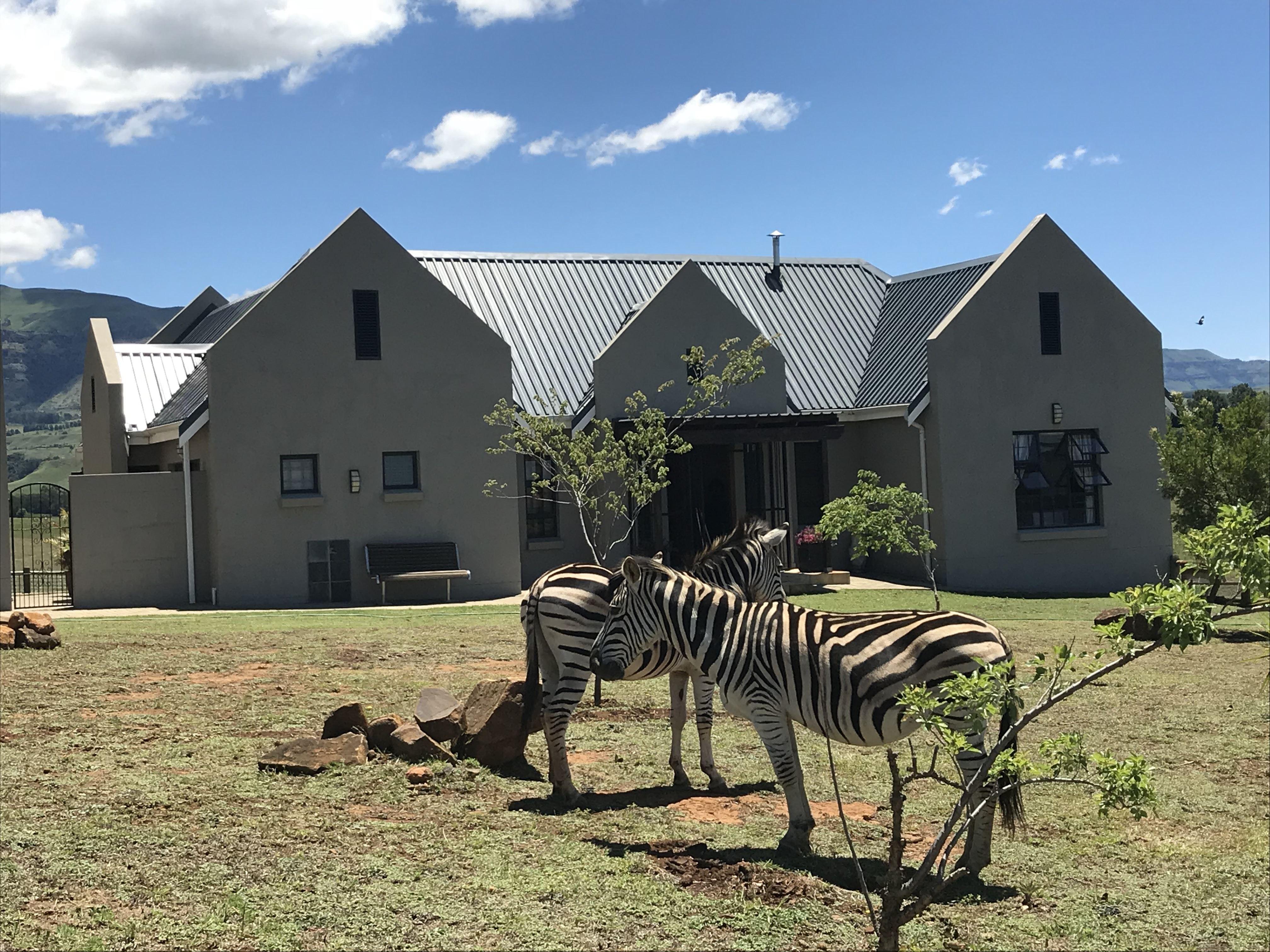No 6 Dragonview | Accommodation Champagne Valley