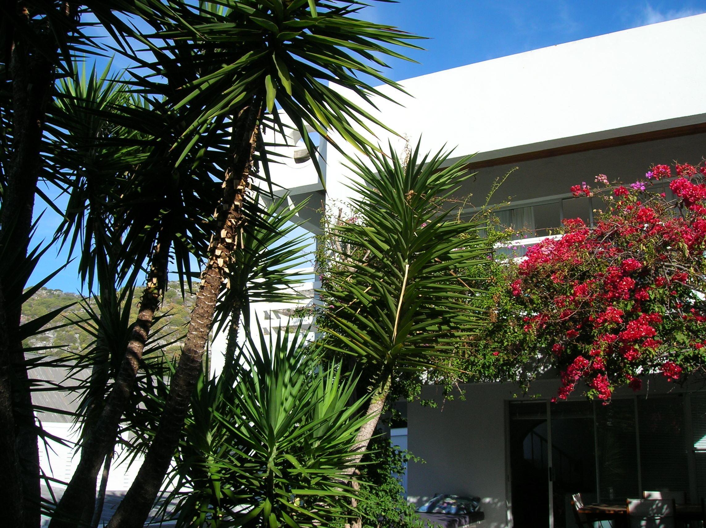 Somerset Way Bnb | Accommodation Kommetjie