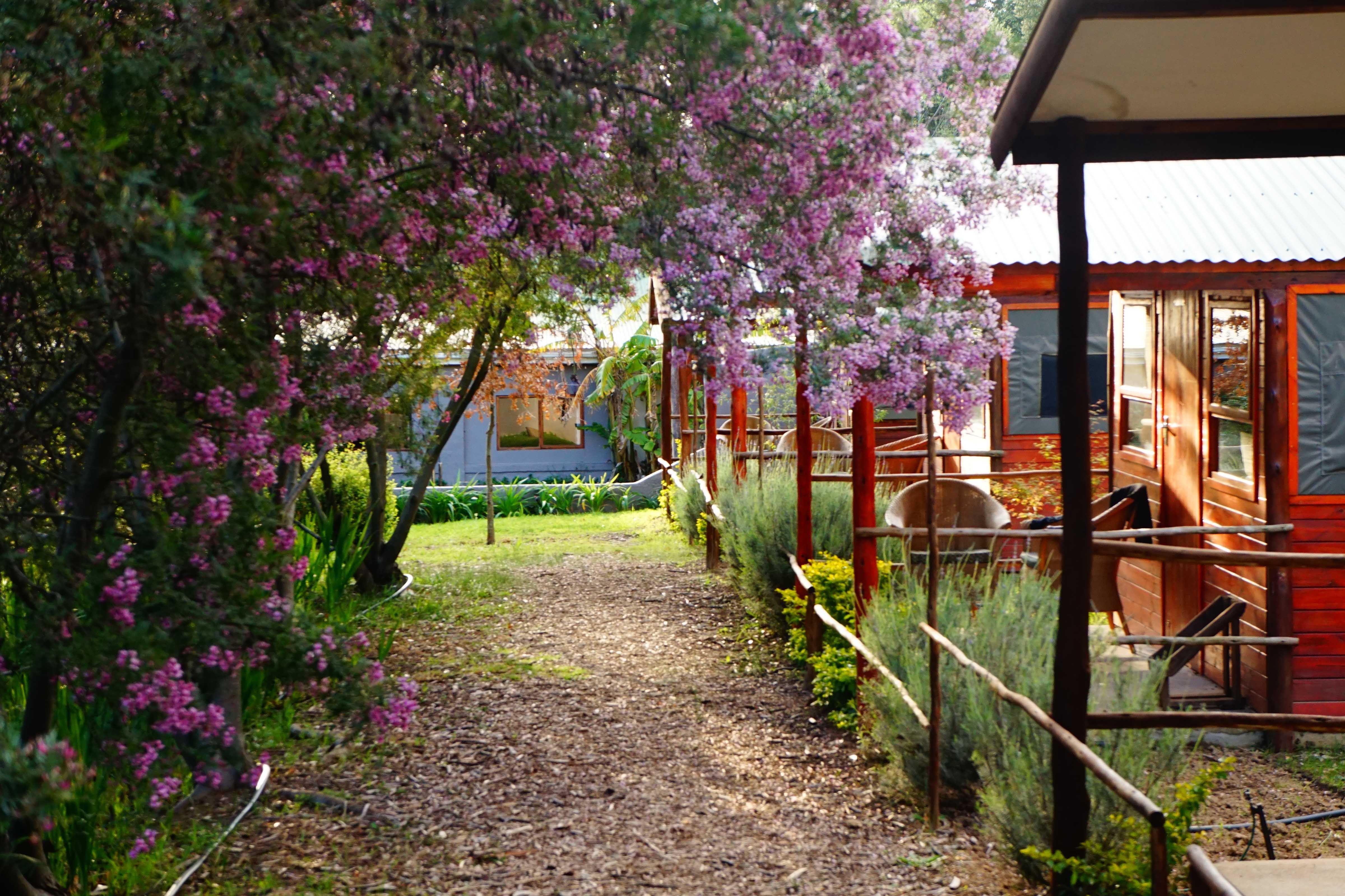 Kunguru Lodge / Tri Active Events Management. | Accommodation Elgin