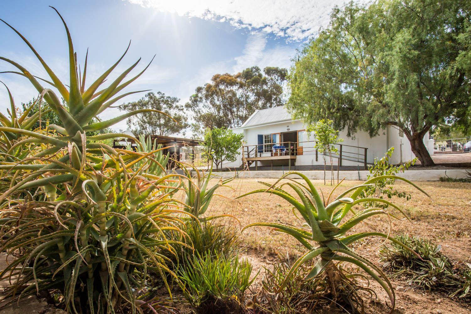 Riebeeck Huis | Calitzdorp Accommodation