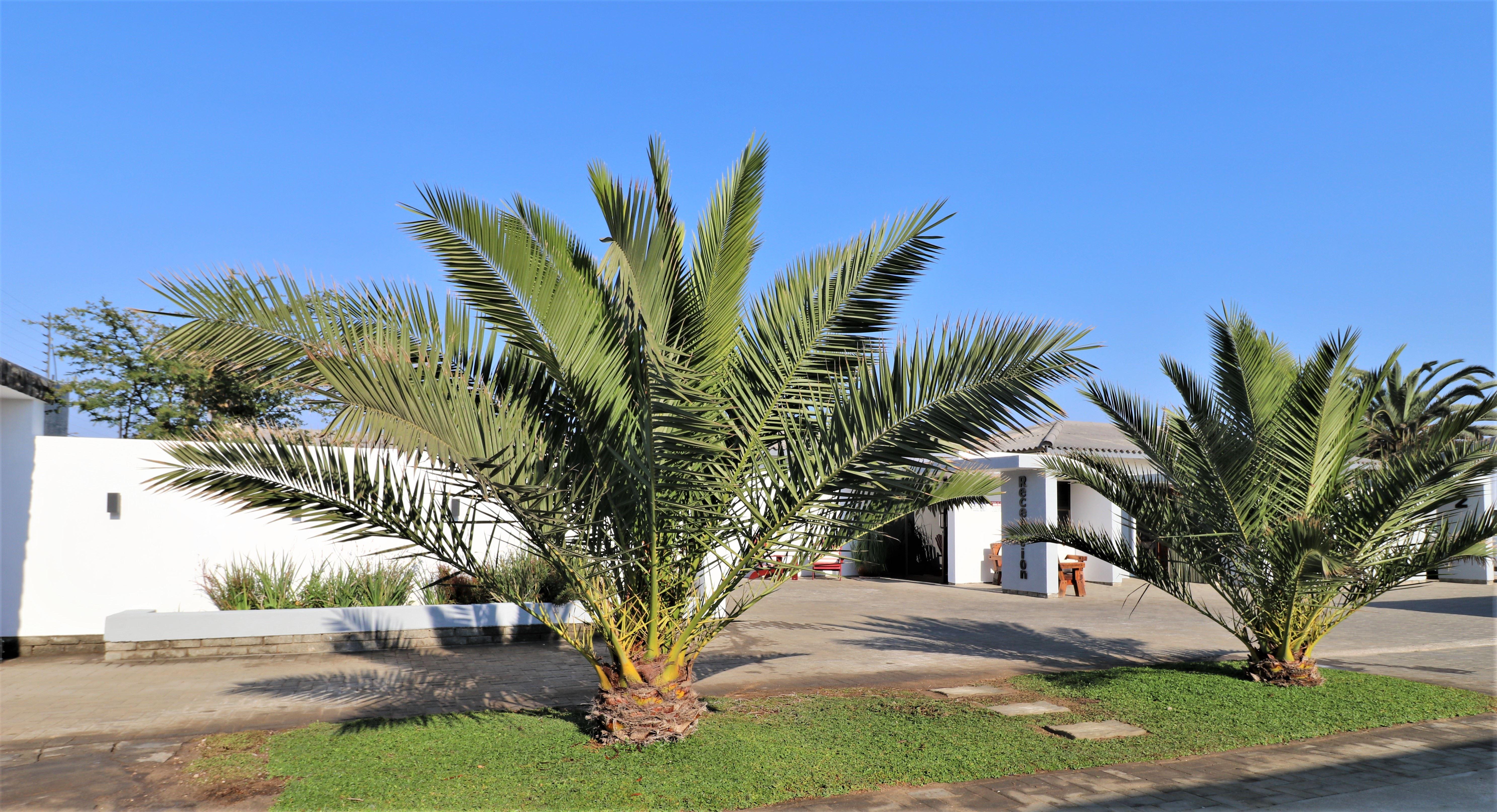 10de Laan Bed & Breakfast | Accommodation Walvis Bay