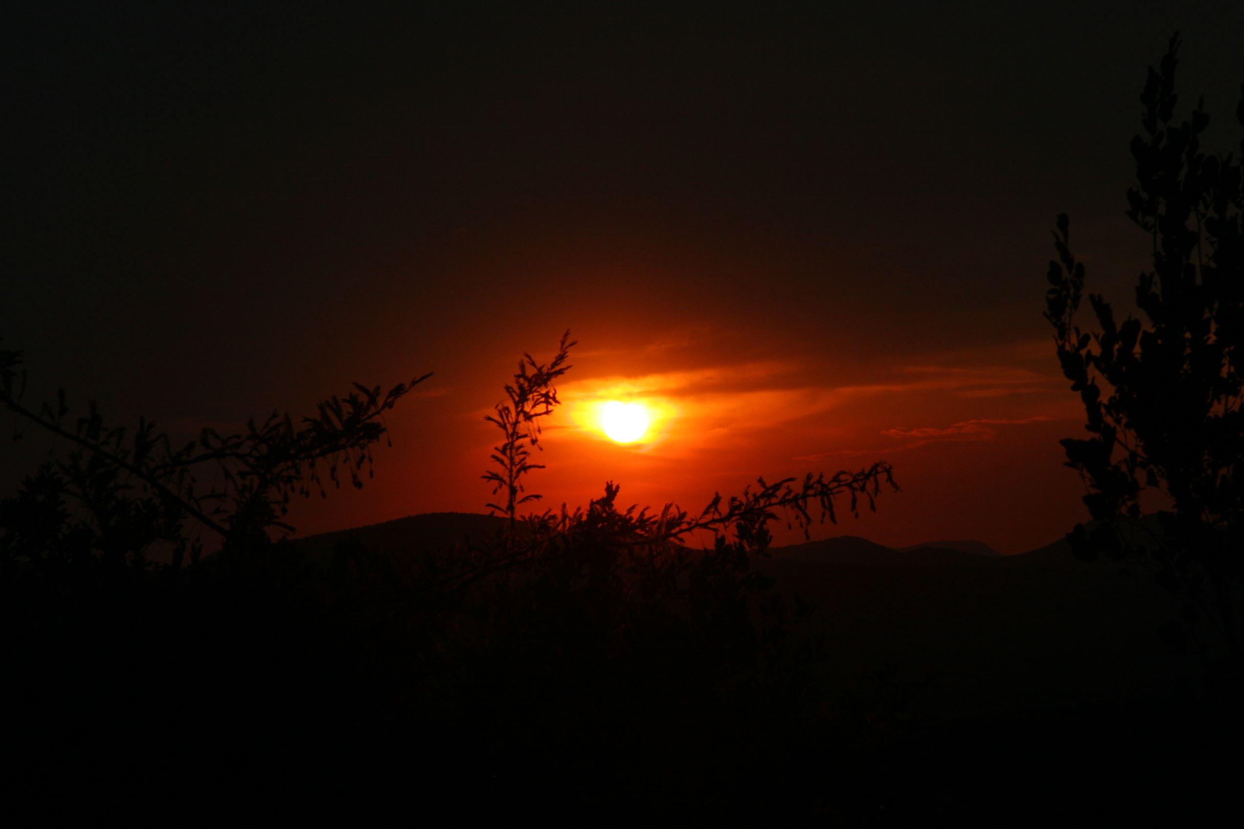 Mount Marula Game Lodge | Thabazimbi Accommodation